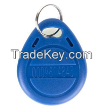 Generic Proximity EM4100 EM4102 125KHz RFID ID Card Tag Token Key Chain Keyfob Read Only Color Blue pack of 100 