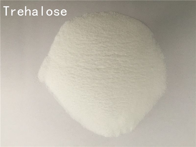 market price food grade and industrial grade sodium gluconate