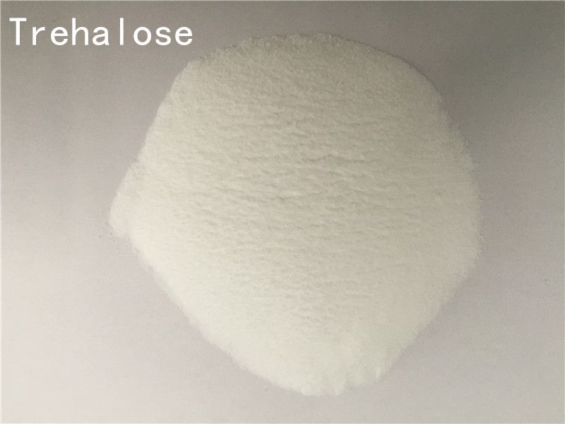 concrete admixture sodium gluconate manufacturer in China