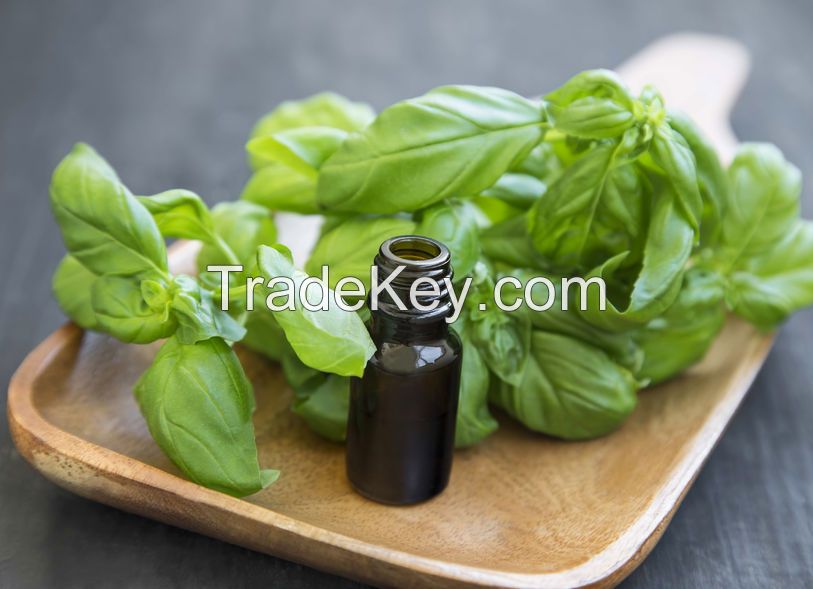 Basil Essential Oil