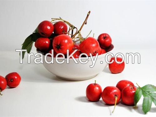 Pure Natural Hawthorn fruit Extract, Hawthorn Leaf , Flower Extract
