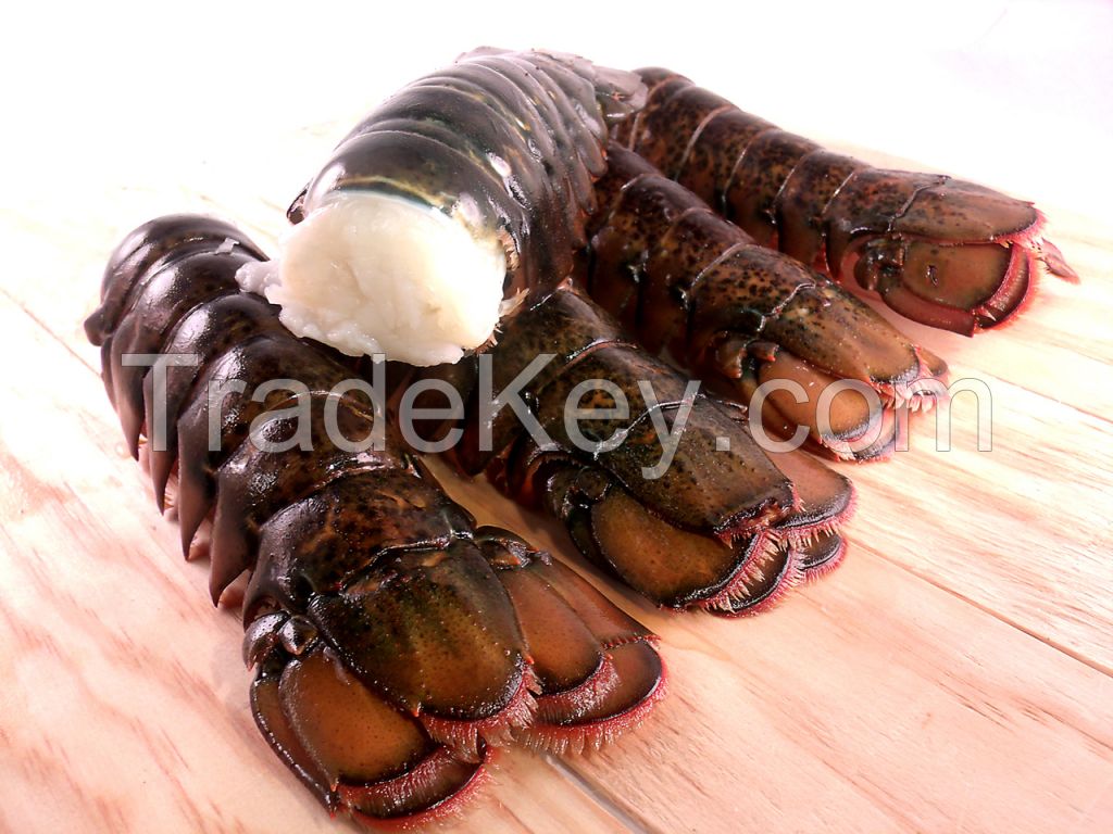 Frozen Lobster Tails | Cooked Frozen Lobster Tails