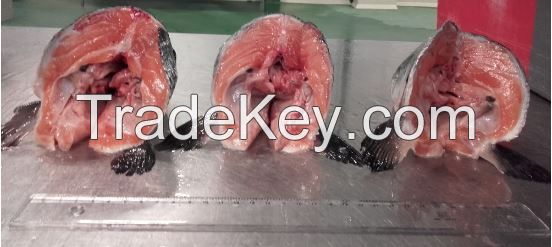 Frozen Salmon Head 450 gram + V-Cut