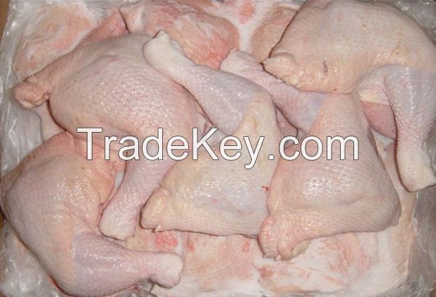 Wholesale frozen whole chicken and parts