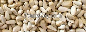 High Quality 100% Clean Safflower Seeds