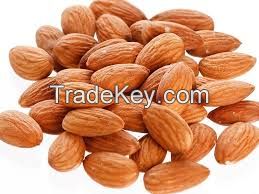 Sweet and Bitter Almond Nuts