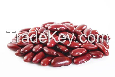 Red / Black / White Kidney bean 2015 crop HPS size:200-220pcs/100g