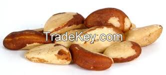 Quality Brazil Nuts at very cheap prices.