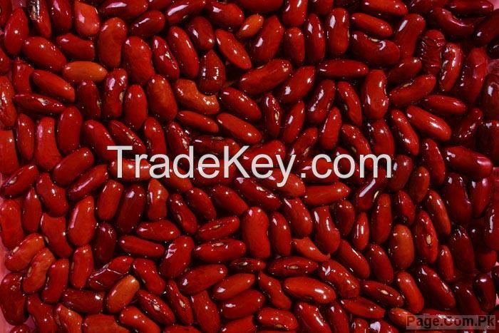 Dark Red Kidney bean 2015 crop HPS size:200-220pcs/100g