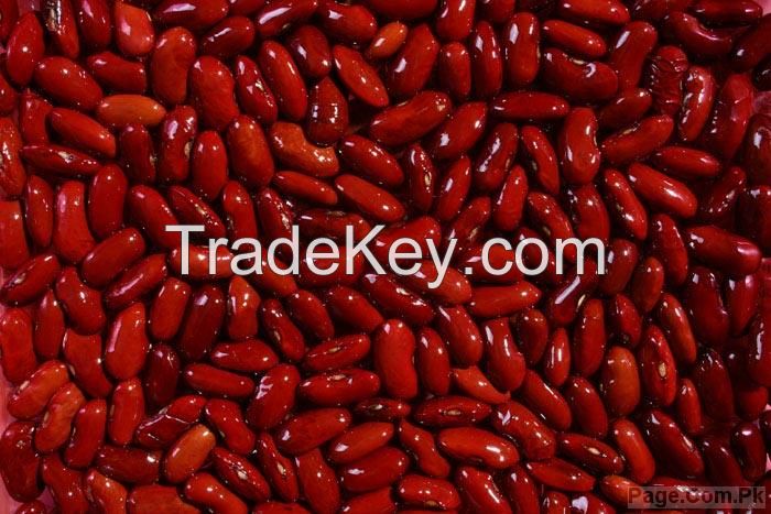 Red / Black / White Kidney bean 2015 crop HPS size:200-220pcs/100g