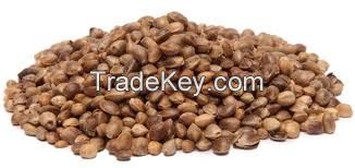 New Certified Shelled Hemp Seeds, Organic Hemp Seeds, 