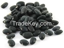 Red / Black / White Kidney bean 2015 crop HPS size:200-220pcs/100g