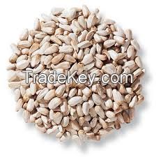 bird feed/Safflower Seed