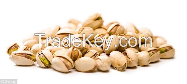 bulk pistachio nuts