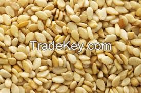 Whitish Sesame Seed (Humera Type)
