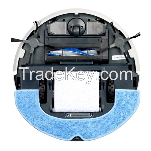 Domestic robot vacuum cleaner with HEPA air clean