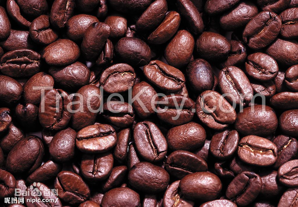 wholesale 1kg 2kg coffee cocoa bean roaster roast beking machine