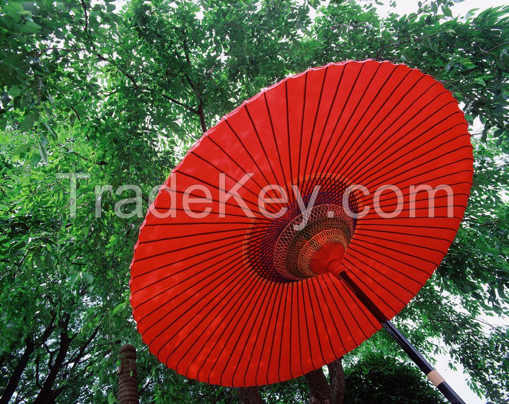 paper umbrella