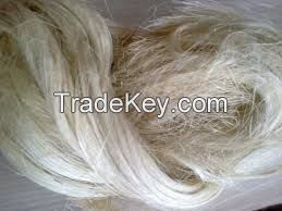 Best Quality Sisal Fibre UG Grade. RAW and Natural Sisal Fibre. Competitive Price.