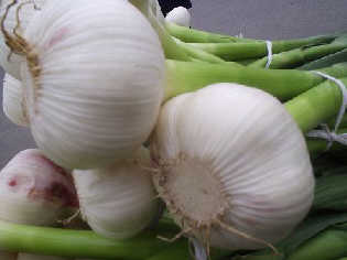 garlic(product),ginger,onion,potato