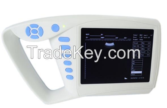 Palmtop Ultrasonic Diagnostic Devices