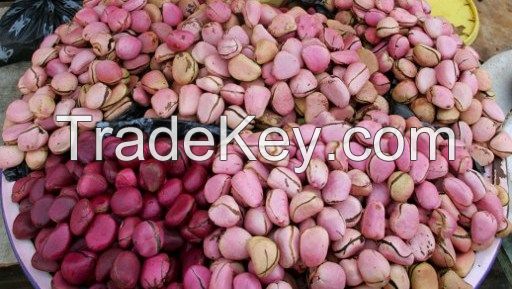 Kola Nut