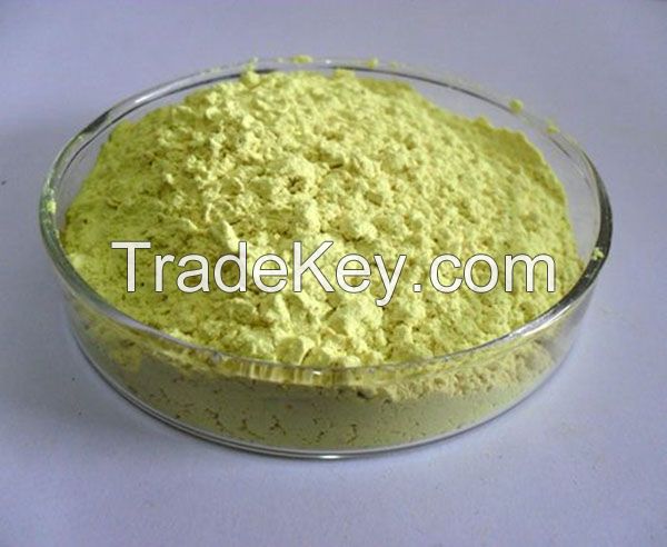 Rutin Extract from Natural Sophora Flower bud Powder
