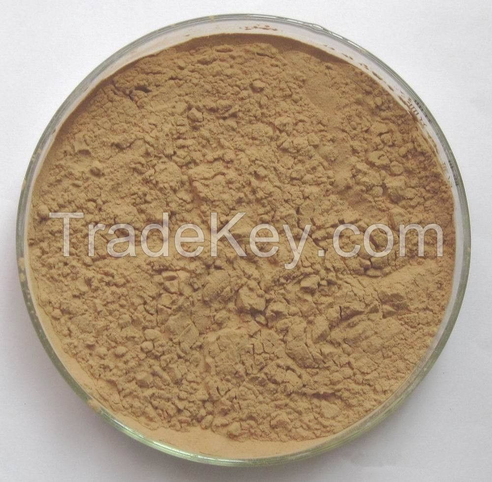 Natural citrus extract CAS 520-26-3 Hesperidin Powder