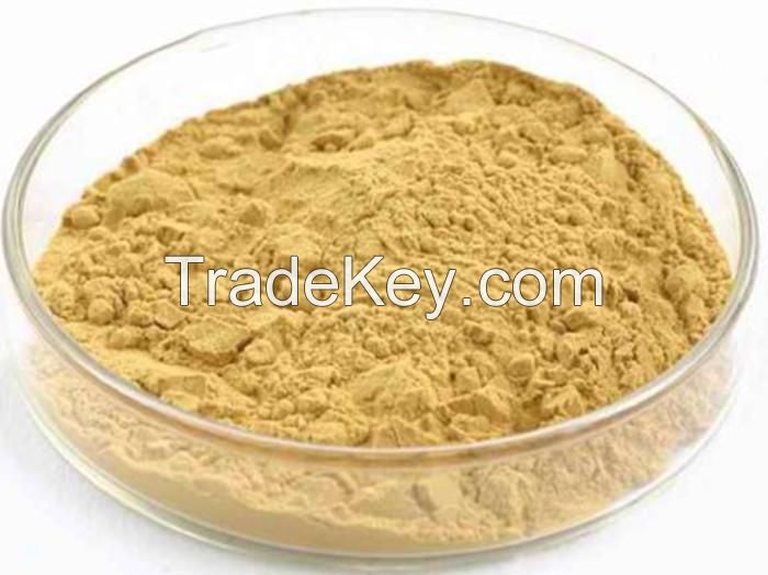 Best Selling Natural 98% Diosmetin Powder