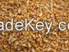 Yellow Maize | Maize Exporter | Corn Grain Seller | Maize Buyer 
