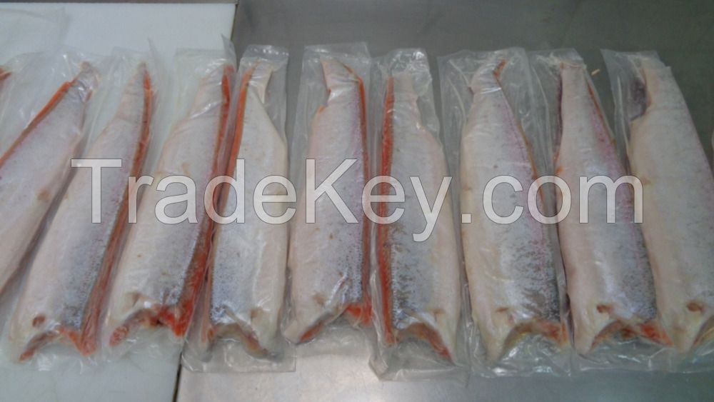 FROZEN SALMON, ATLANTIC (Salmo Salar) SEA FOOD FISH