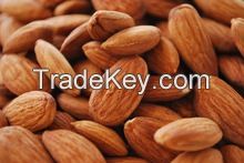 Raw Natural Almond Nuts for Sale