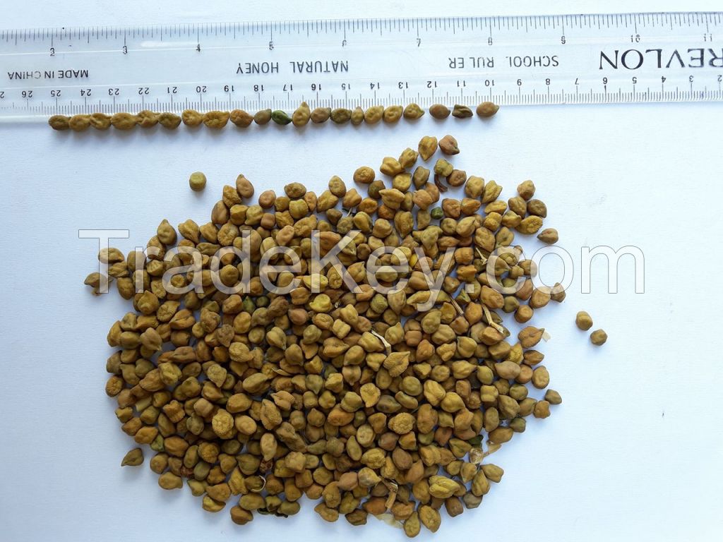 Chick Peas Tanzania Origin