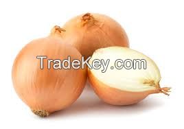 onion FESH