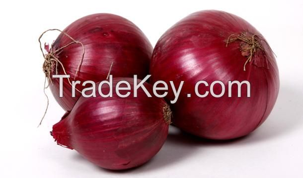 onion red