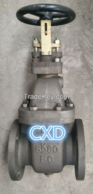 JIS marine cast iron gate valve F7363