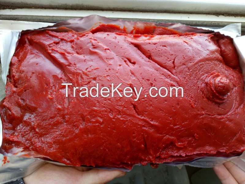 tomato paste 30-32% hot break