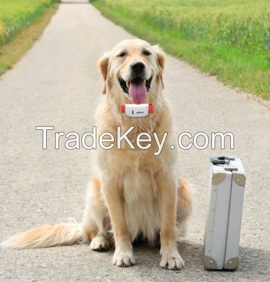 Anti-lost pet gps tracker for dogs/cats gsm sim card real time tracking gps navigator