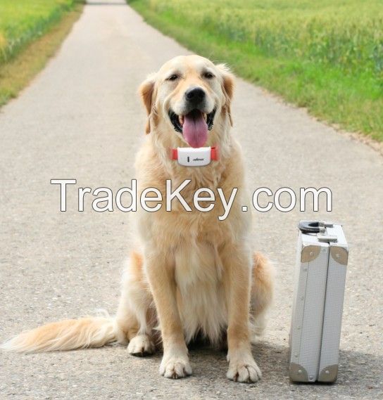 Factory price micro gps tracker for pets with google map link SMS APP and platform tracking