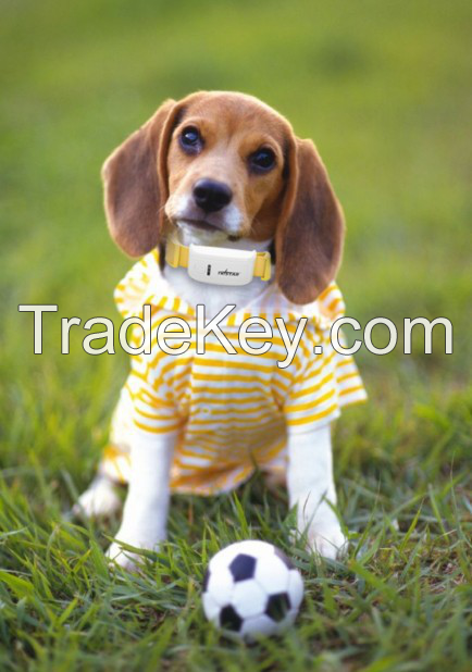 TKSTAR TK909 Dog products gps collar tracker dog tag necklace made in China mini pet collar tracker