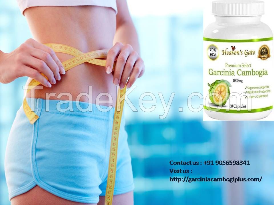  Garcinia Cambogia Pills For Weight Loss