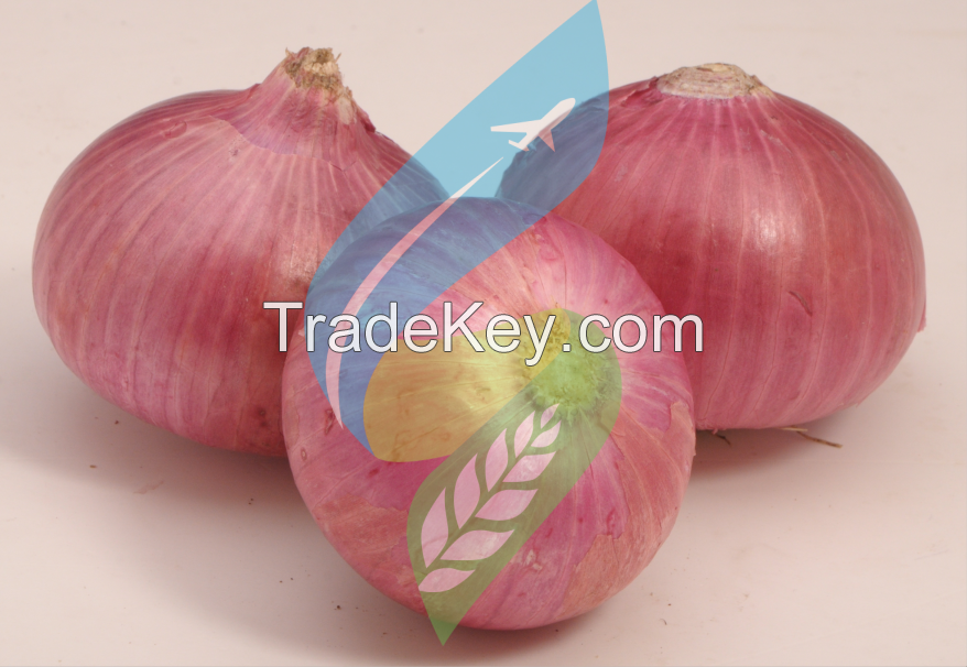 Fresh Indian Onion