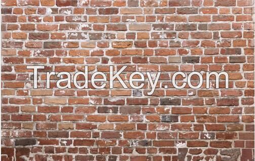 Brick Wall theme Vinyl Custom Photography Backdrop Photo Studio Backgr