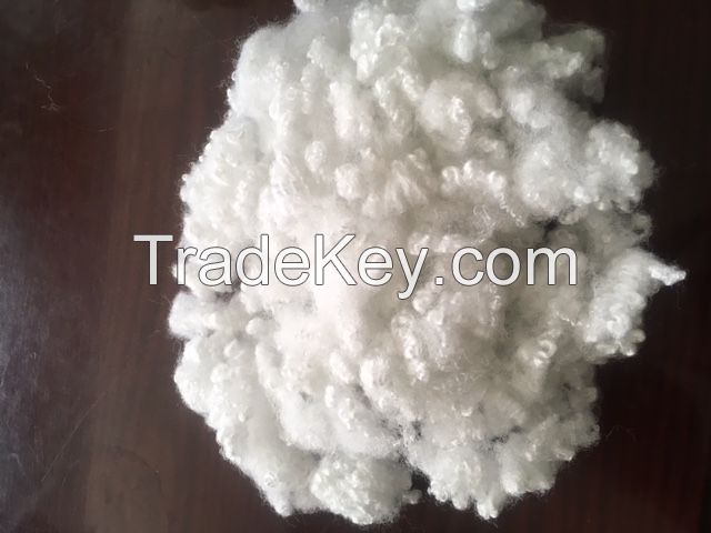 polyester staple fiber