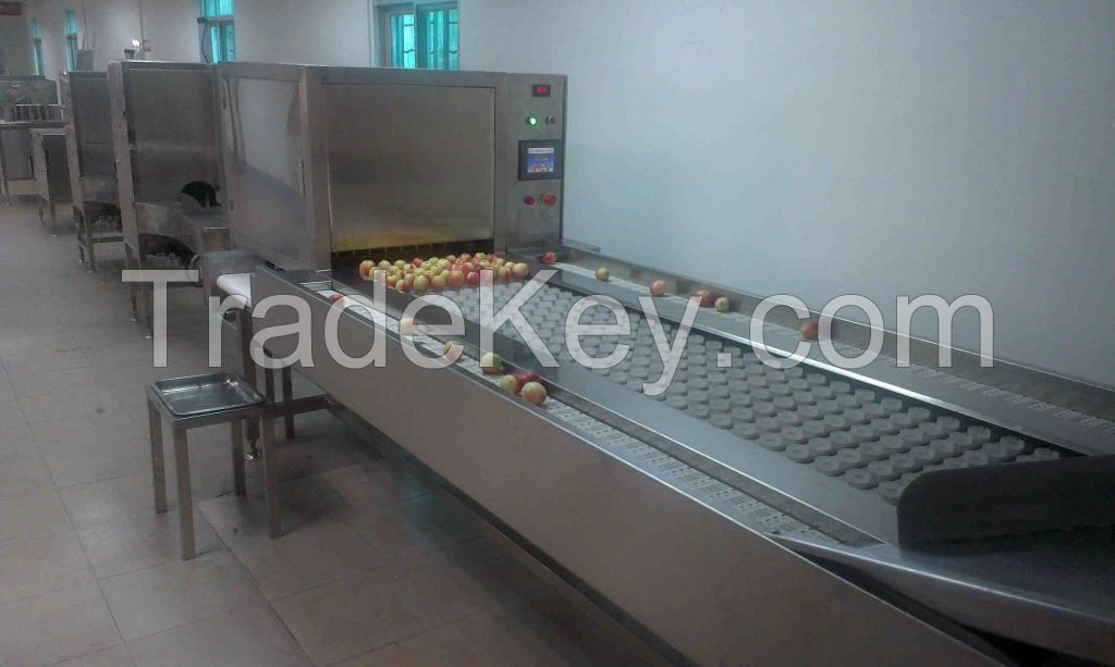 Fruit pitting and cutting machine