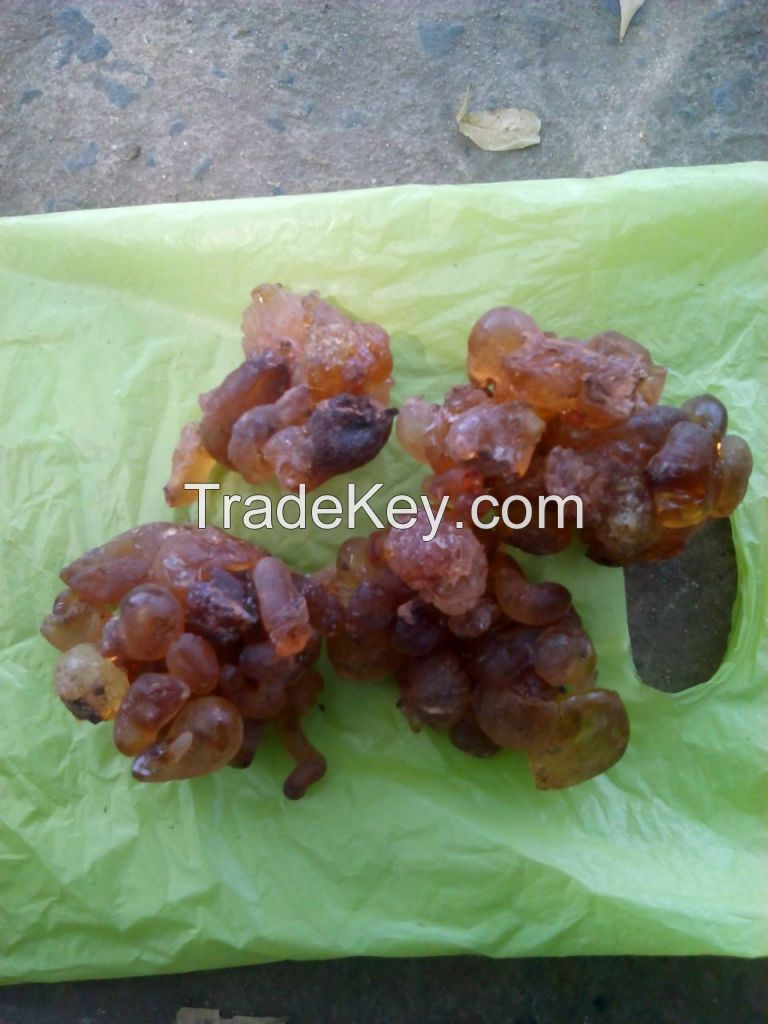 Gum Arabic