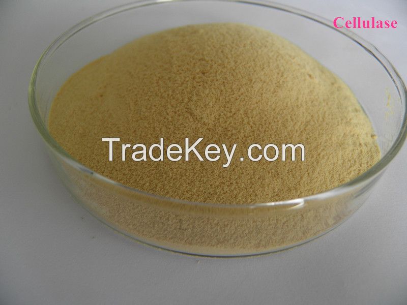 Sell Qualified Cellulase Enzyme