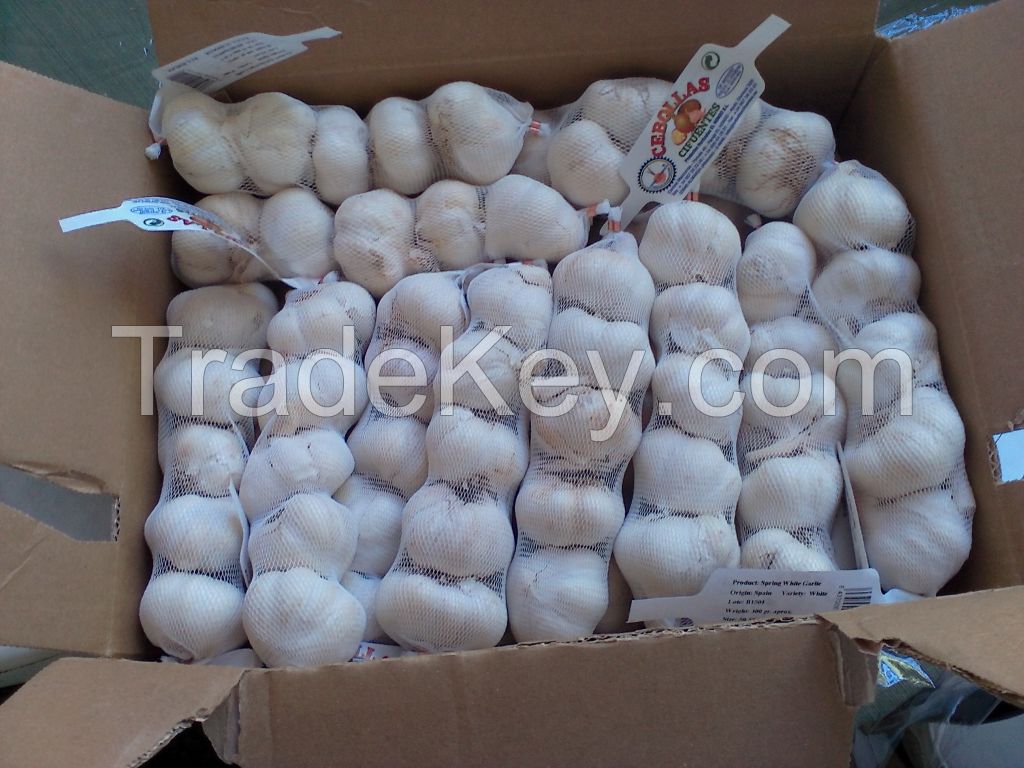 Garlic sleeved from Spain