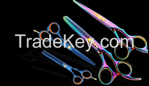 Professional Hair Cutting Scissors