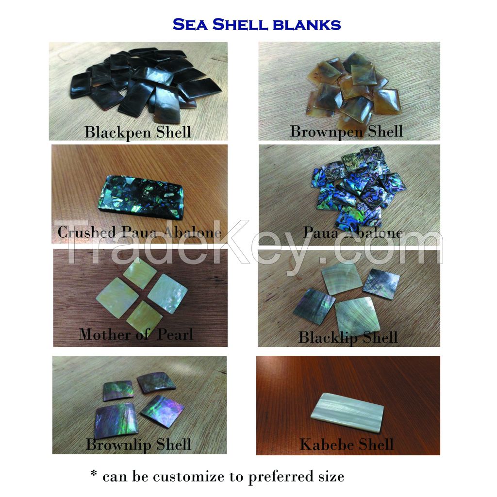 Sea shell blanks for inlays